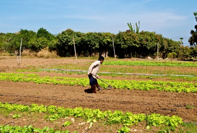 Dia del Trabajador rural
